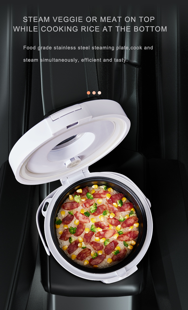 24V Rice Cooker  Truck Soup St - Camping No Cooking Meals 评论和价格