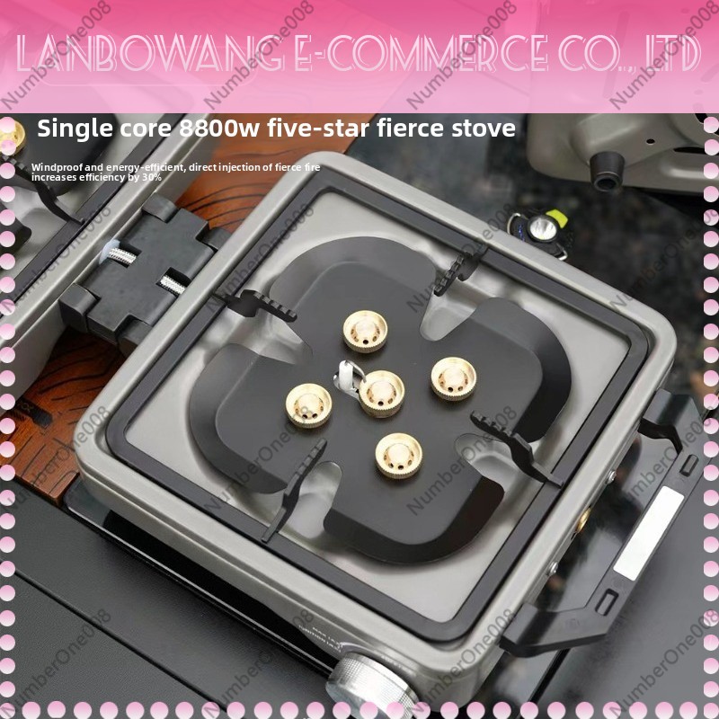Outdoor Dual Burner High Power - Camping Cooking Equipment 评论和价格