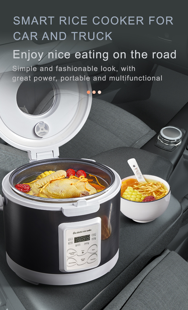 Rmier 12V 24V 220V Mini Rice C - Camping No Cooking Meals 评论和价格