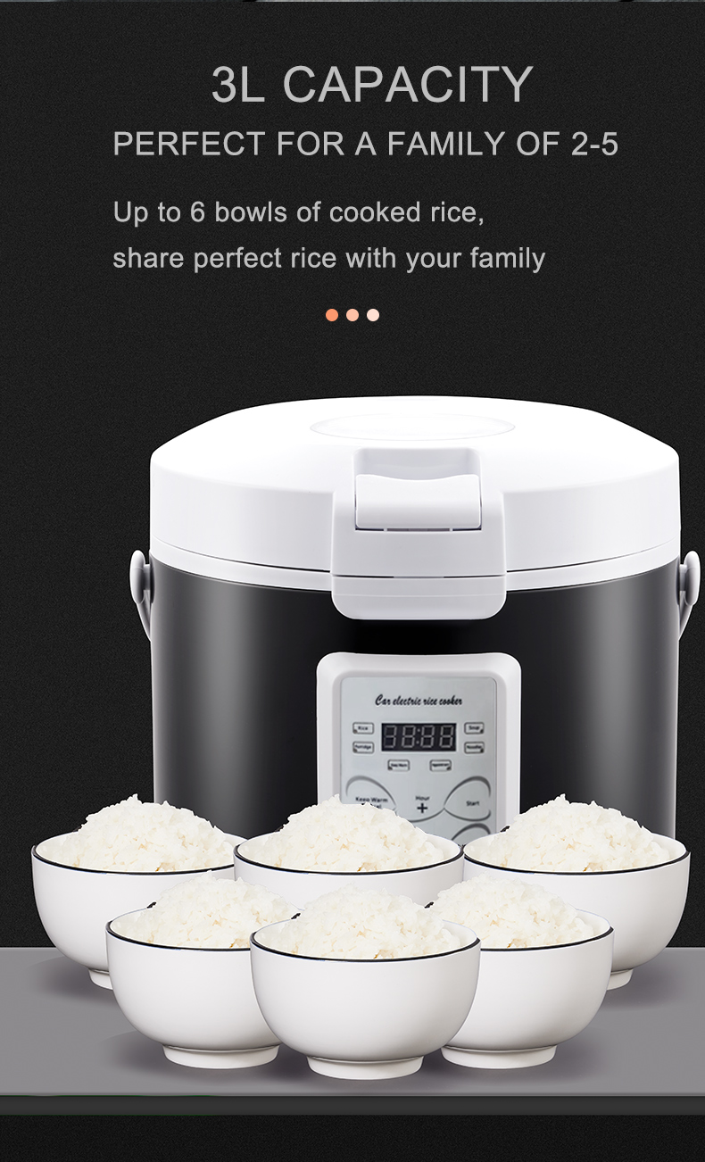 Rmier 12V 24V 220V Mini Rice C - Camping No Cooking Meals 评论和价格