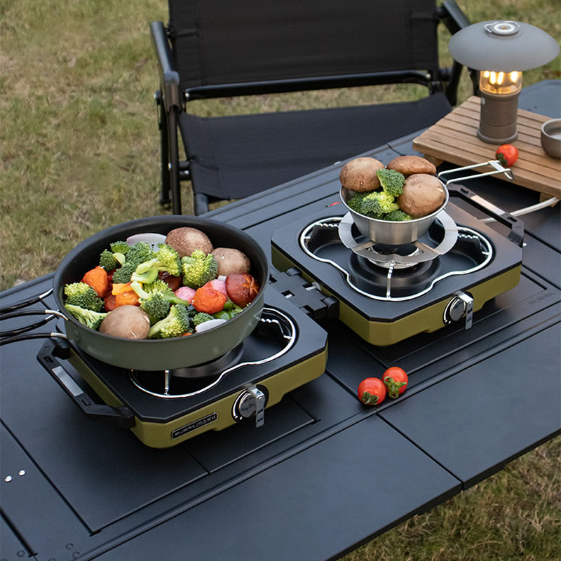 Camping Stove Double Burner Po - Camping Double Cooking Stove 评论和价格